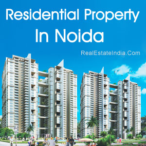 Residential Property In Noida