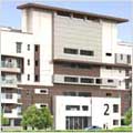 Sobha Lavender