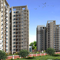 Sushma Elite Cross