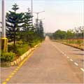 J R City