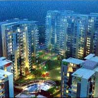 Sushma Chandigarh Grande