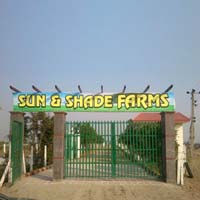 Sun & Shade Farms