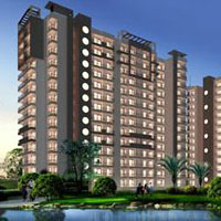 Satya Ville De