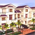 Palm Grove Villas