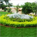 Vakil Satellite Township