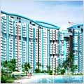 Amrapali Platinum