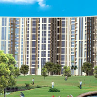 Pavilion Court