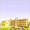 Palms Candolim