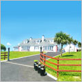 Country Homes