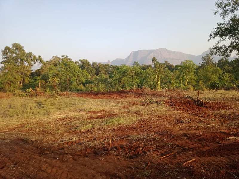 Agricultural Land Acre For Sale In Murbad Thane Rei