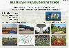 MADHAVIPRASAD REALTORS