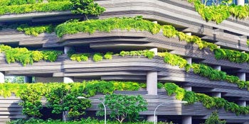 Understanding the Importance of Green Architecture