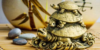Benefits Of Placing Tortoise Figurine in Your House
