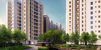 Top 3 Tips For Buying 3 BHK Flats For Sale In Greater Noida