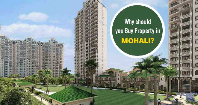 Why should you Buy Property in Mohali?