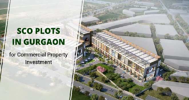 SCO Plots in Gurgaon for Commercial Property Investment