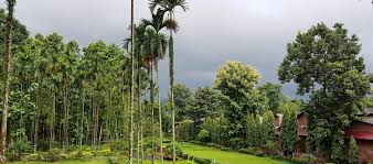 TEA EASTATE & FARM LAND