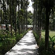 TEA EASTATE & FARM LAND