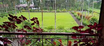 TEA EASTATE & FARM LAND