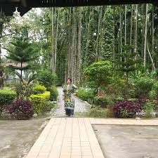 TEA EASTATE & FARM LAND