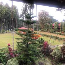 TEA EASTATE & FARM LAND