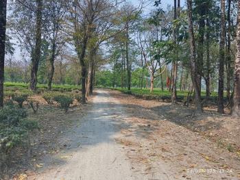 TEA EASTATE & FARM LAND