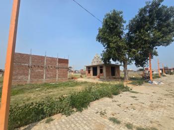 SITE VIEW