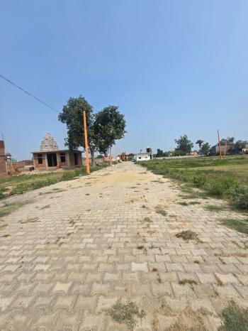 BACK VIEW ROAD