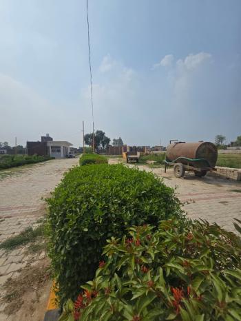 MEDIAN VIEW