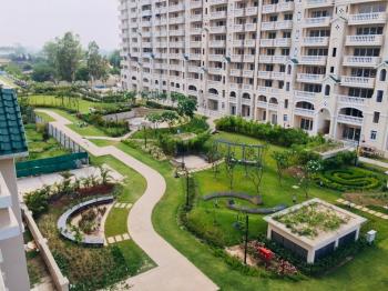 Garden View of Highrise in Mohali