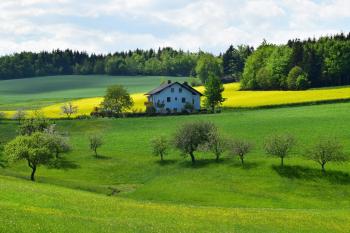 farm house development