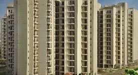 Property for sale in Sector 46 Faridabad