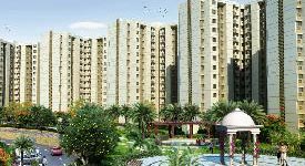 Property for sale in Sector 25 Noida