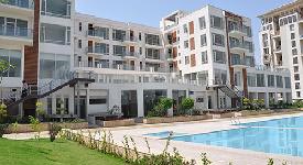 Property for sale in Sector 134 Noida