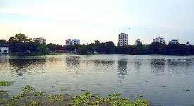 Property for sale in South Avenue, Kolkata