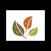 Gillco Developers and Builder pvt. ltd.