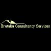 Brutalia Consultancy Services