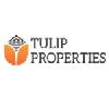 Tulip Properties