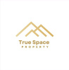 True Space property