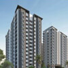 Shree Shyam Property