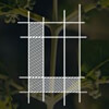 Lahari projects