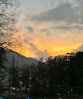 Hidimba Manali Realtors