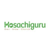 Hosachiguru