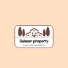 Salasar property jaipur