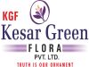 KESAR GREEN FLORA