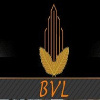 BVL Group