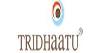 Tridhaatu Realty & Infra Pvt Ltd