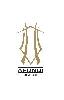 Afundi Developers (p) ltd