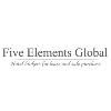 I Five Elements Global