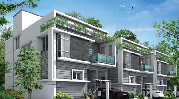 Ongoing Projects